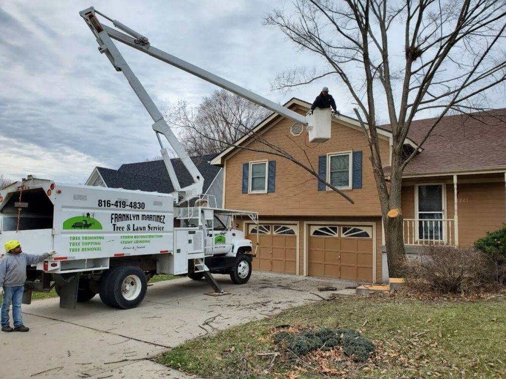 Reliable-Tree-Service